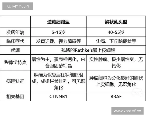 南京排球队与上海排球队赛后复盘分析及状态对比探讨 南京排球队与上海排球队赛后复盘分析及状态对比探讨
