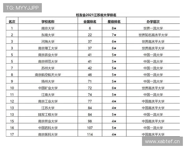 南京羽毛球队在洲际杯积分榜上以95分稳居第一名展现强劲实力