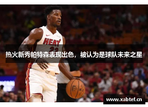 热火新秀帕特森表现出色，被认为是球队未来之星