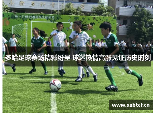 多哈足球赛场精彩纷呈 球迷热情高涨见证历史时刻