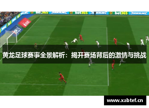黄龙足球赛事全景解析：揭开赛场背后的激情与挑战