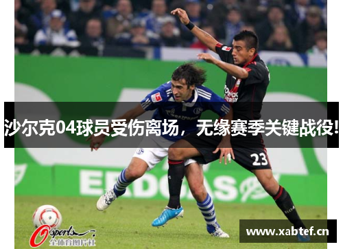 沙尔克04球员受伤离场，无缘赛季关键战役!