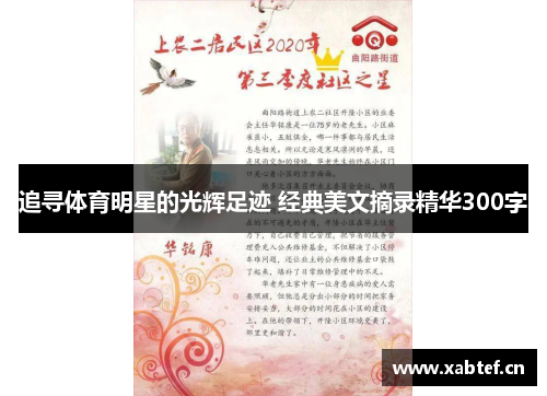 追寻体育明星的光辉足迹 经典美文摘录精华300字