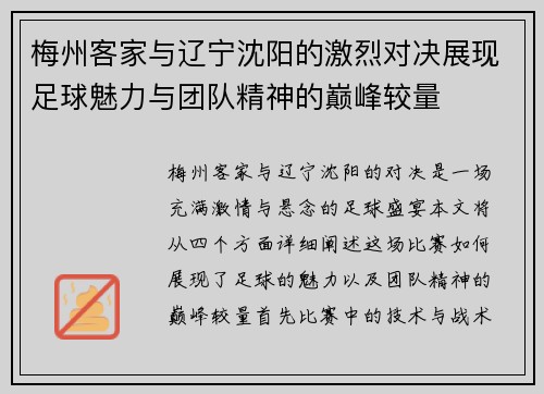 梅州客家与辽宁沈阳的激烈对决展现足球魅力与团队精神的巅峰较量